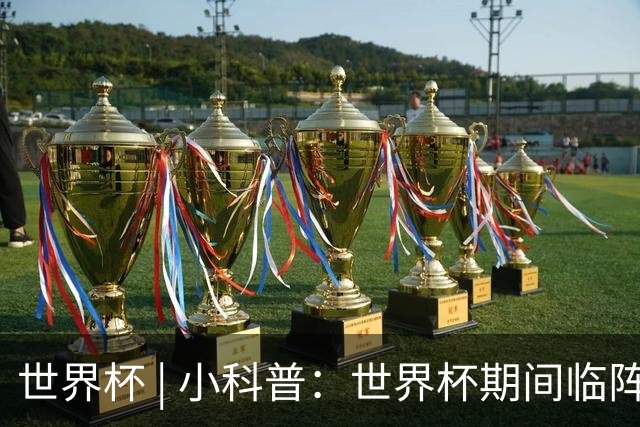 世界杯 | 小科普：世界杯期间临阵换帅，有先例吗？