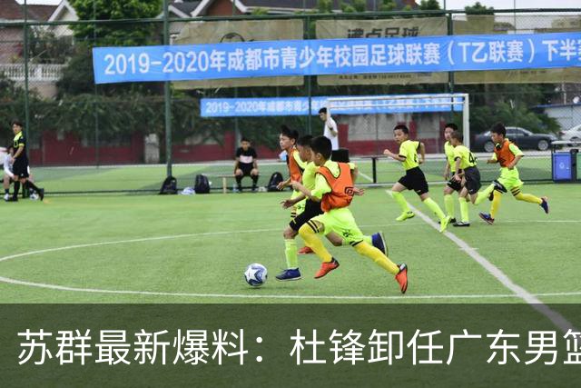 苏群最新爆料：杜锋卸任广东男篮主帅，俱乐部或将聘外教，焦泊乔有望留队